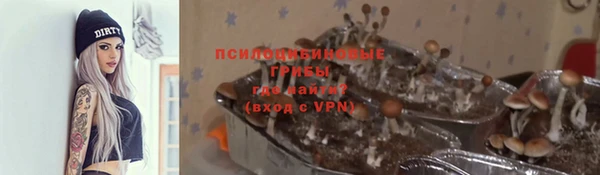 спиды Алексин