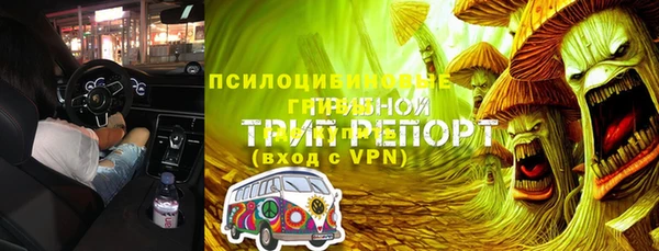 трава Абаза